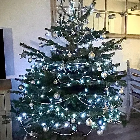 The Bay, Filey, Moonshine 펜션