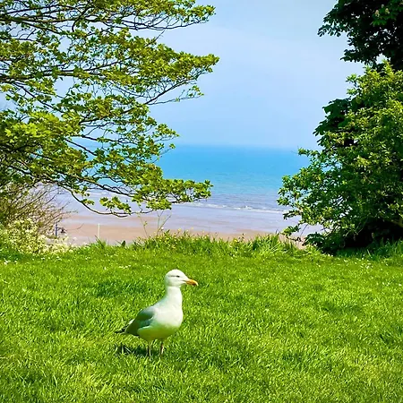 The Bay, Filey, Moonshine 度假居 *