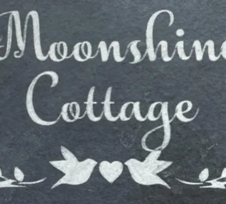 The Bay, Filey, Moonshine *