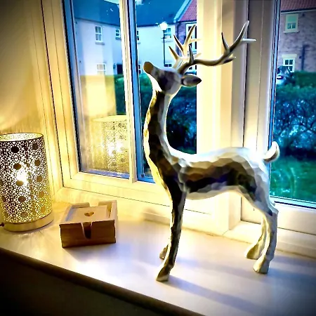 The Bay, Filey, Moonshine Filey